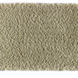 Bold Indulgence carpet - 022